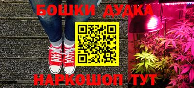 индика Шахты