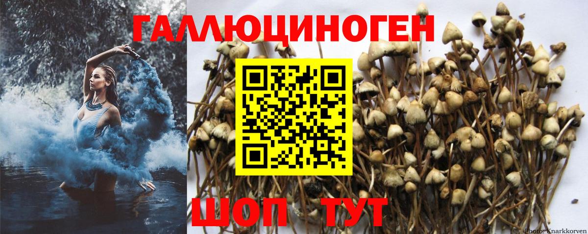 Дубна  Псилоцибиновые грибы MAGIC MUSHROOMS  Псилоцибиновые грибы Magic Shrooms  Вход с VPN 
